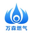 ไอคอนของโปรแกรม: 万森燃气