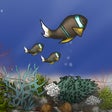 Icon of program: Fish Tycoon