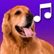 Sounds of dogs