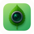 Icon of program: التعرف على النباتات بالكا…