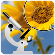 程序图标：Microscope Zoom HD Camera