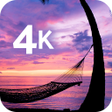 ไอคอนของโปรแกรม: Tropical wallpaper in 4K