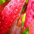 أيقونة البرنامج: Water HD Wallpapers New T…