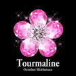 プログラムのアイコン：Tourmaline October Births…
