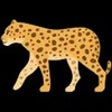 Ikon program: Cheetah AI
