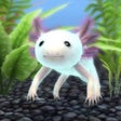 プログラムのアイコン：My Axolotl Aquarium