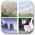 Icoon van programma: ArcSoft PhotoImpression