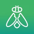 程序图标：Greenfly