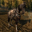 Icon of program: Enbarr Horse Harness