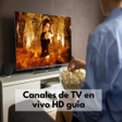 程序图标：Canales de TV en vivo HD …
