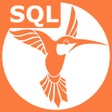 Programın simgesi: SQL Recipes