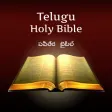Telugu Bible Indian Version