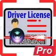 Icon of program: Pro Driver license: scann…