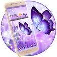 Shiny Colorful Butterfly Theme