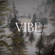 Icono de programa: Vibe :