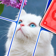 ไอคอนของโปรแกรม: Solitaire Drop: Jigsaw Ga…