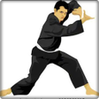 プログラムのアイコン：pencak silat movement