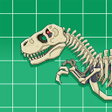 Иконка программы: T-Rex Dinosaur Fossils Ro…