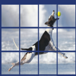 程序图标：dog puzzle pet