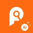 Ikon program: Picdmo