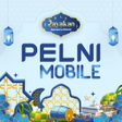 Icon of program: PELNI