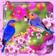 プログラムのアイコン：Beauty Birds