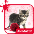 أيقونة البرنامج: Pretty Cat Animated Keybo…