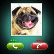 プログラムのアイコン：Fake Call Dog Prank