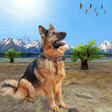 Icon of program: Shepherd Dog Simulator 3D…
