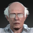 ไอคอนของโปรแกรม: Bernie Run