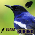 プログラムのアイコン：Koleksi Suara Burung