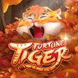 プログラムのアイコン：Super Tiger Mary