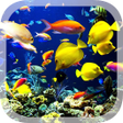 أيقونة البرنامج: Real Aquarium Live Wallpa…
