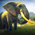 Ikon program: Elephant Simulator Wild L…