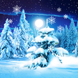 Icon of program: Winter Forest Live Wallpa…