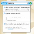 Programmsymbol: Skype Widget