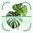 プログラムのアイコン：Identify Plants  Flowers