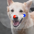 Symbol des Programms: DragGAN AI 3D Image Revol…
