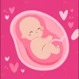 程序图标：حساب الحمل بدقه ومتابعه ا…