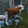 Иконка программы: Ranch Simulator 23 Build …