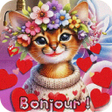Icoon van programma: Bonjour