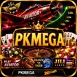Programın simgesi: pkMega