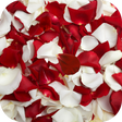 Иконка программы: Rose petals Live Wallpape…