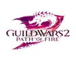 Ikon program: Guild Wars 2: Path of Fir…