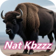 ไอคอนของโปรแกรม: Nat Kbzzz