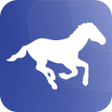 Icon of program: Chase Up