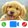 プログラムのアイコン：Cute Dog Prank Call - Fak…