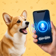 프로그램 아이콘: Dog Translator: Train You…