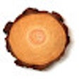 Icon of program: Histree