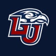 Иконка программы: Liberty Flames